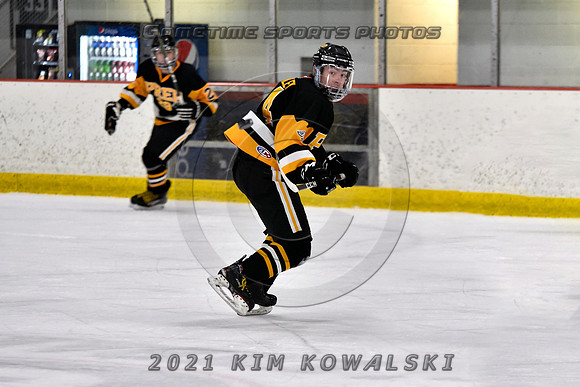 _GSP4324 (Copy)