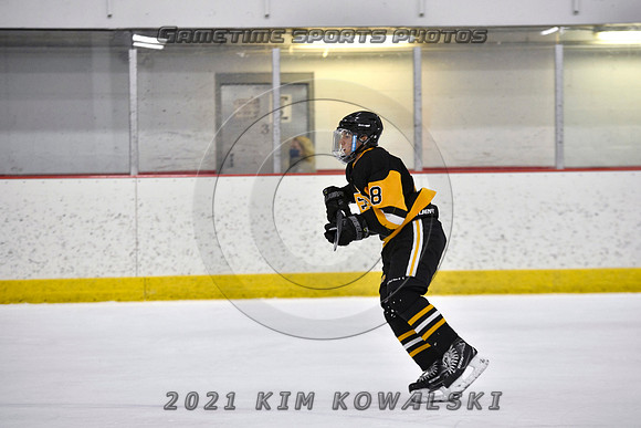 _GSP4353 (Copy)