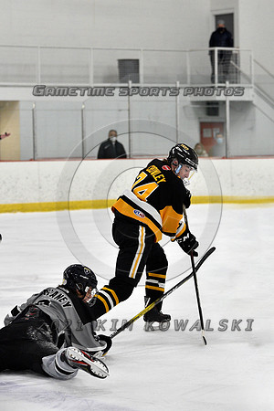 _GSP4431 (Copy)