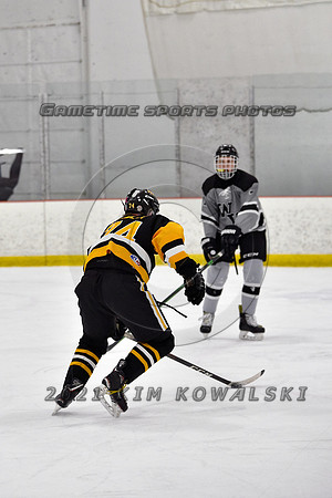 _GSP4434 (Copy)