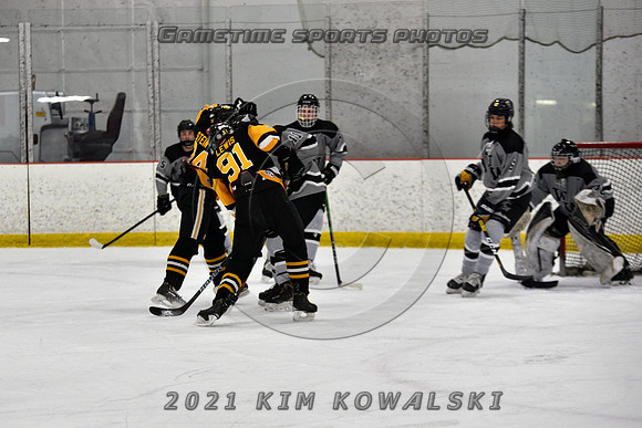 _GSP4445 (Copy)