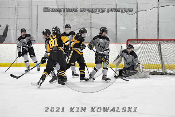 _GSP4446 (Copy)