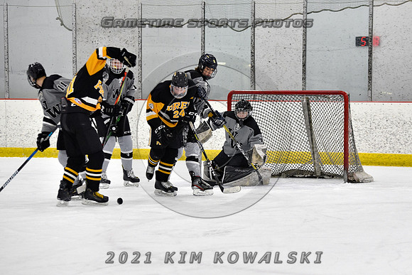 _GSP4447 (Copy)