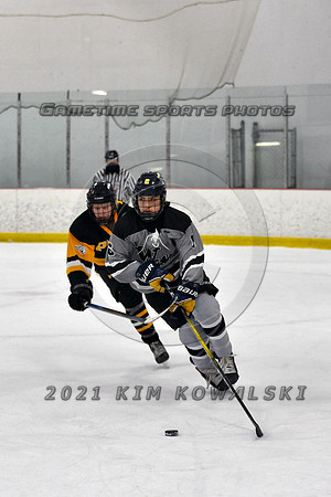 _GSP4519 (Copy)