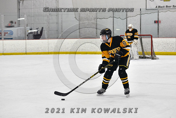 _GSP4799 (Copy)