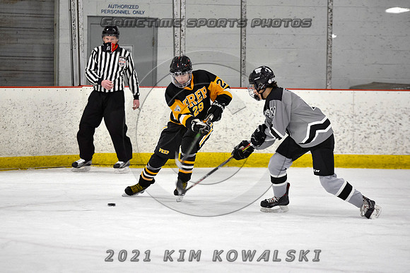 _GSP4853 (Copy)