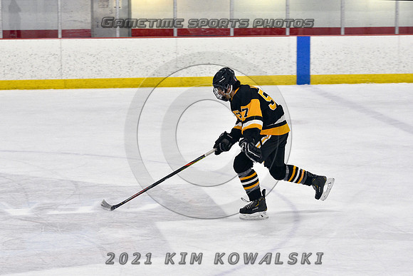 _GSP5262 (Copy)