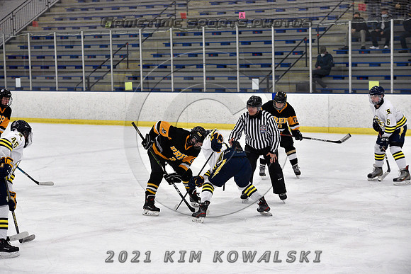 _GSP6451 (Copy)