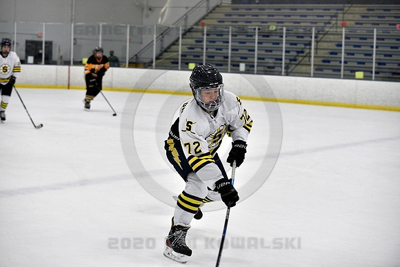 _GSP7106 (Copy)