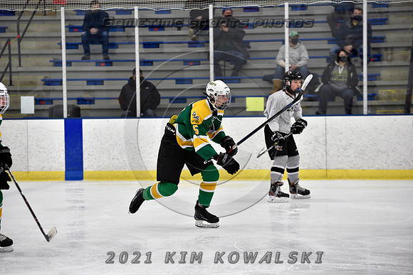 _GSP7136 (Copy)
