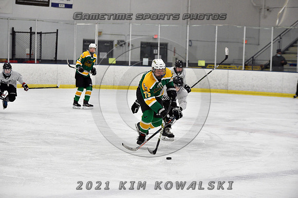 _GSP7184 (Copy)