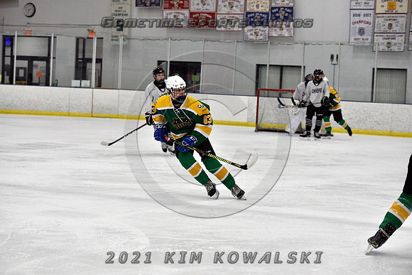 _GSP7217 (Copy)