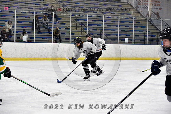 _GSP7304 (Copy)