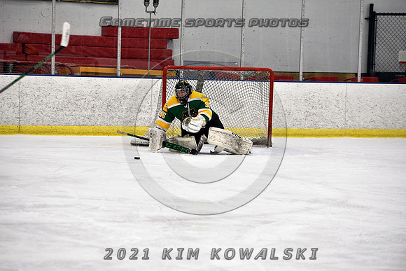 _GSP7307 (Copy)