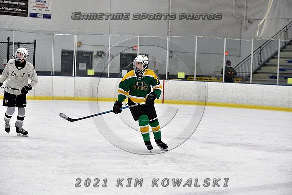 _GSP7313 (Copy)