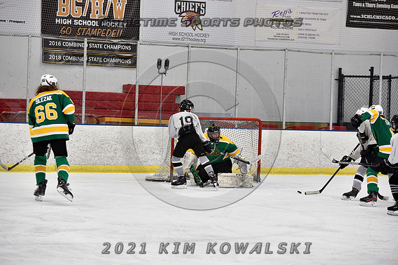 _GSP7333 (Copy)