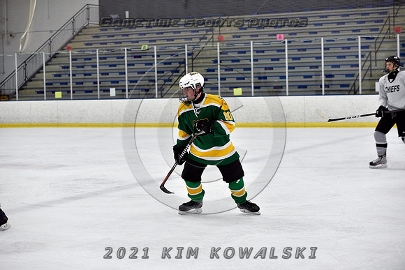 _GSP7376 (Copy)
