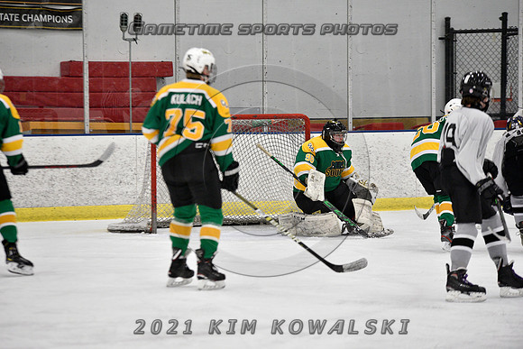 _GSP7381 (Copy)