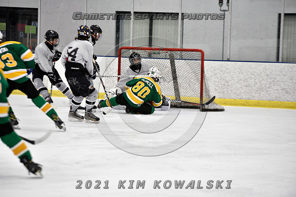 _GSP7401 (Copy)