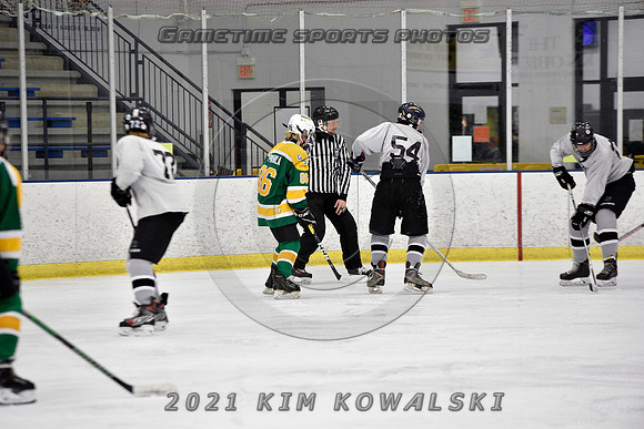 _GSP7409 (Copy)
