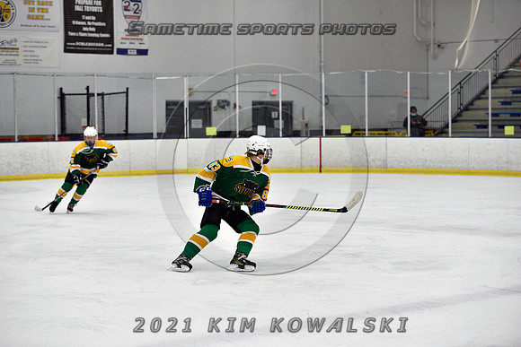 _GSP7417 (Copy)