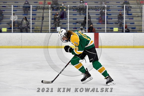 _GSP7433 (Copy)