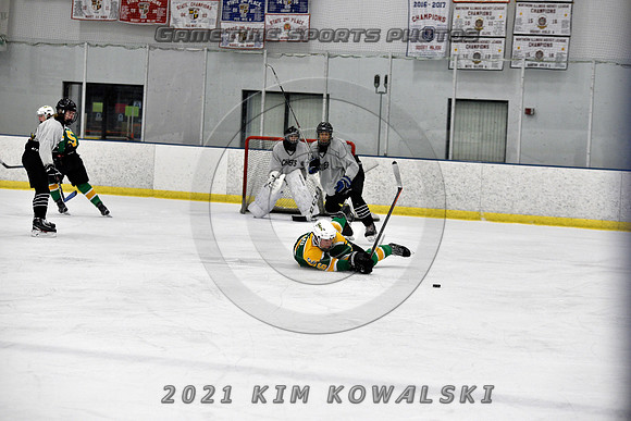 _GSP7461 (Copy)