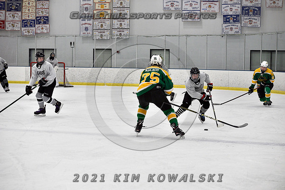 _GSP7462 (Copy)