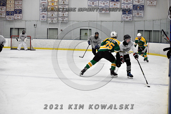 _GSP7463 (Copy)