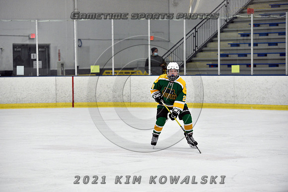 _GSP7483 (Copy)