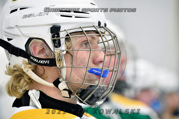 _GSP7486 (Copy)