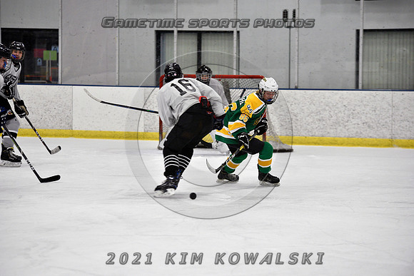 _GSP7531 (Copy)