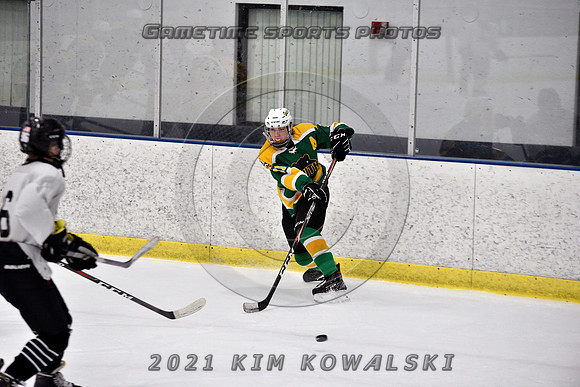 _GSP7597 (Copy)