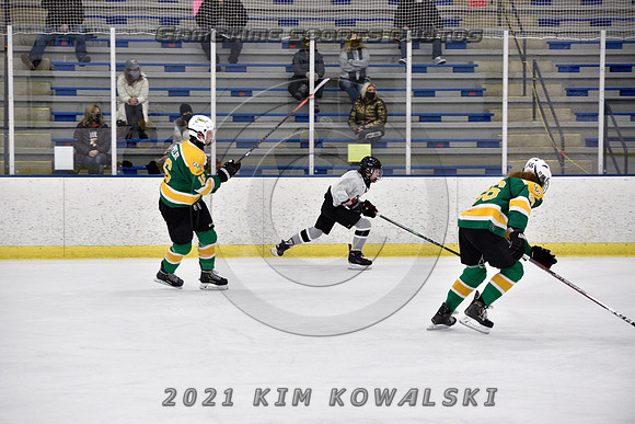 _GSP7602 (Copy)