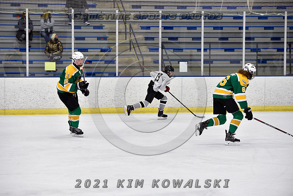 _GSP7603 (Copy)