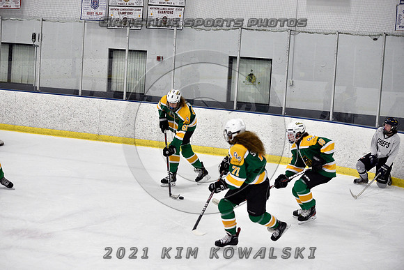 _GSP7617 (Copy)