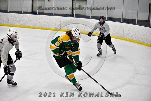 _GSP7621 (Copy)