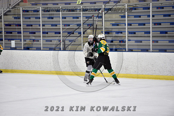 _GSP7646 (Copy)