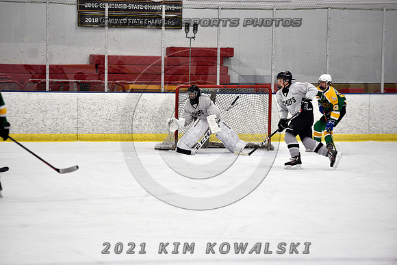 _GSP7721 (Copy)