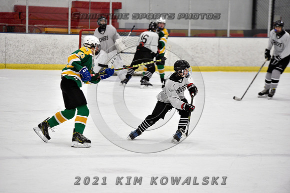 _GSP7733 (Copy)