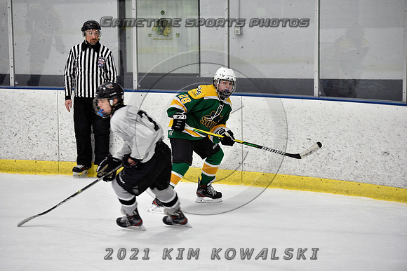 _GSP7808 (Copy)