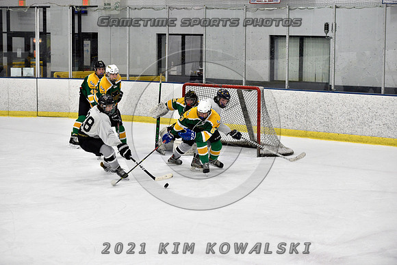 _GSP7818 (Copy)