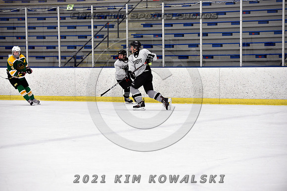 _GSP7919 (Copy)
