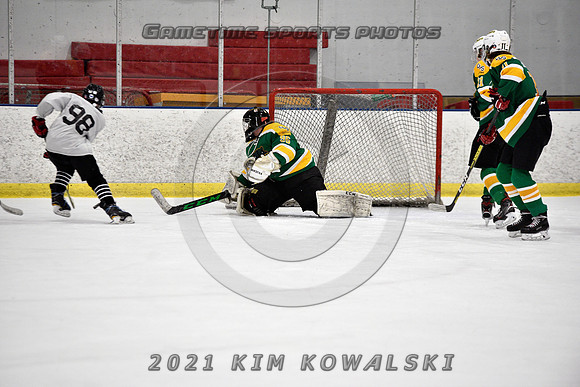 _GSP8011 (Copy)