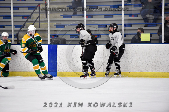 _GSP8037 (Copy)