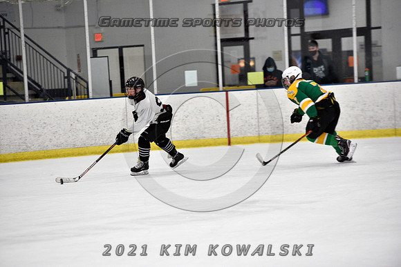 _GSP8043 (Copy)