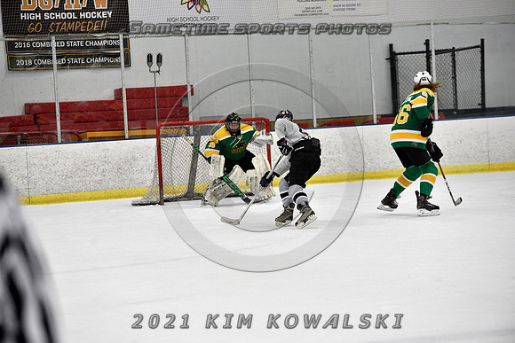 _GSP8063 (Copy)