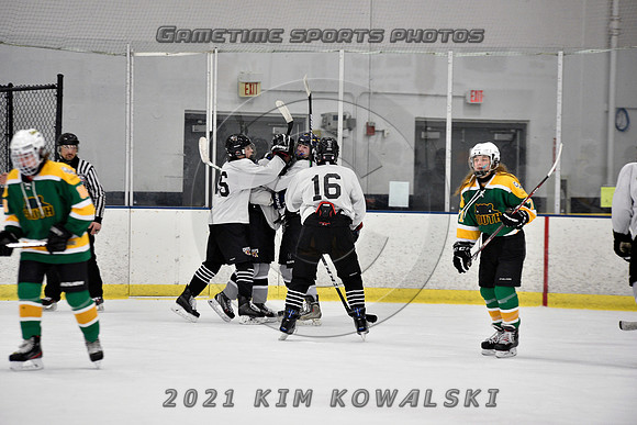 _GSP8074 (Copy)