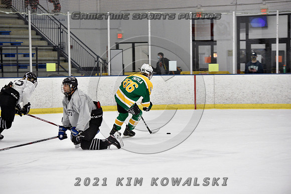 _GSP8135 (Copy)