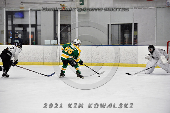 _GSP8137 (Copy)